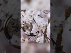 Lily Rose Osmanthus Dientes Pesta dental blanqueadora en embalaje de papel blanco de 400 g