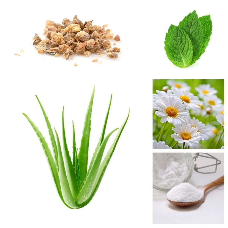 La planta natural de Vera Teeth Whitening Baking Soda del cuidado del áloe oral orgánico de la crema dental extrae Sls libre