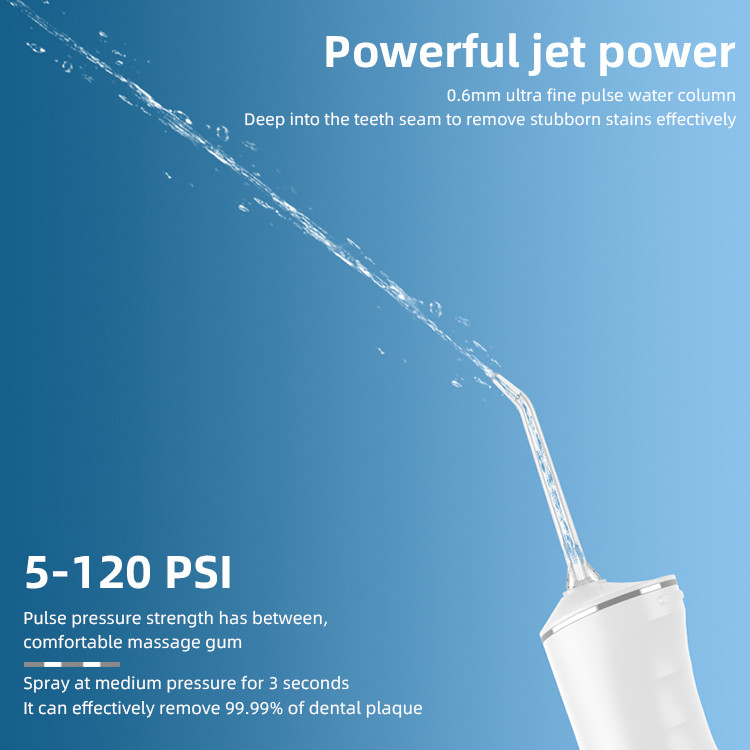 Agua profesional Flosser de Irrigator del cuidado dental del removedor de la placa dental del hogar IPX7 y del viaje