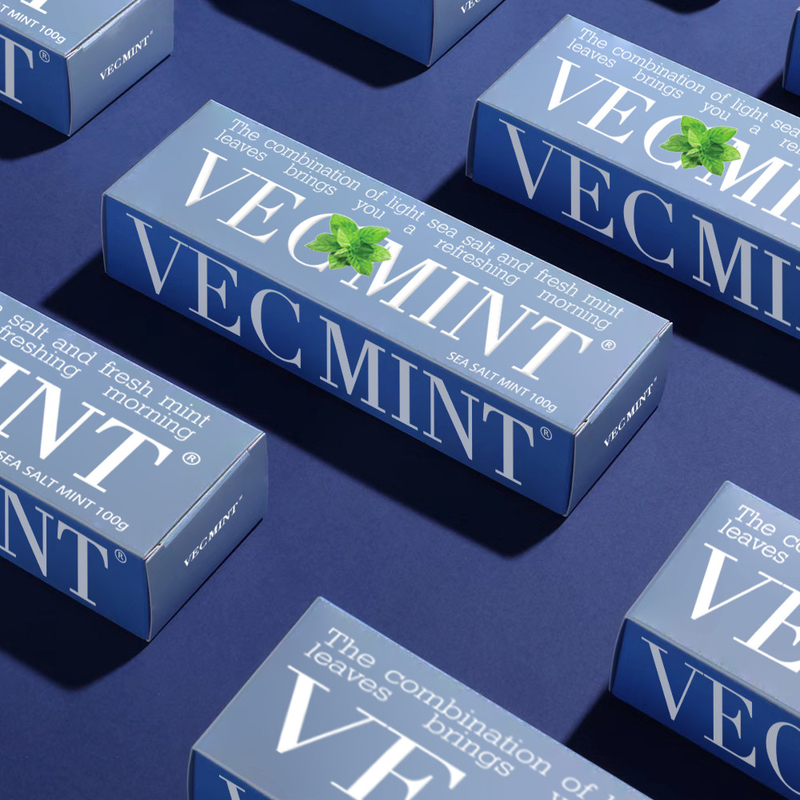 VECMINT Sal de mar y pasta de dientes de menta fresca - deja su boca refrescado 100g fábrica mayorista