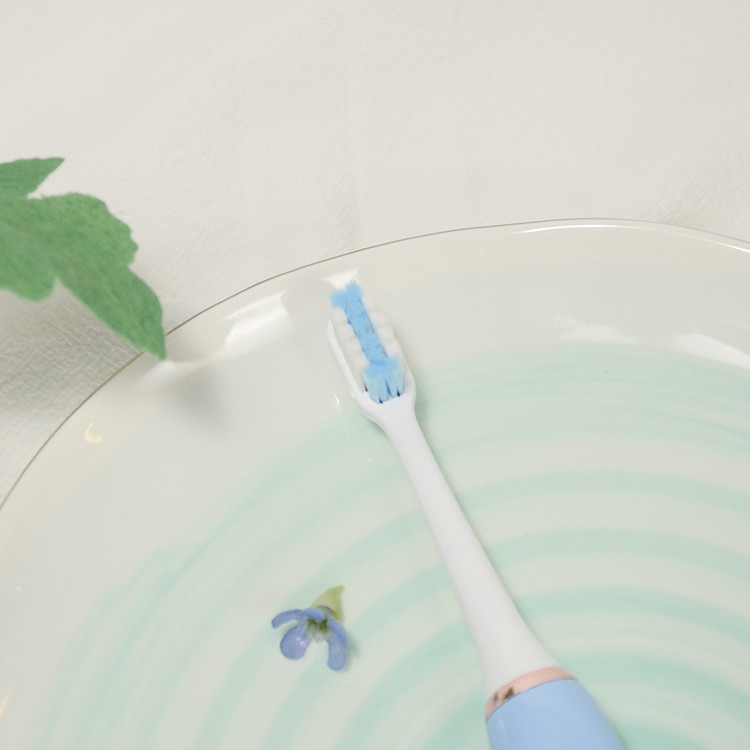 Limpieza acústica oral elegante de los cepillos de dientes 0.7W del cuidado del cuidado de la goma para el viaje