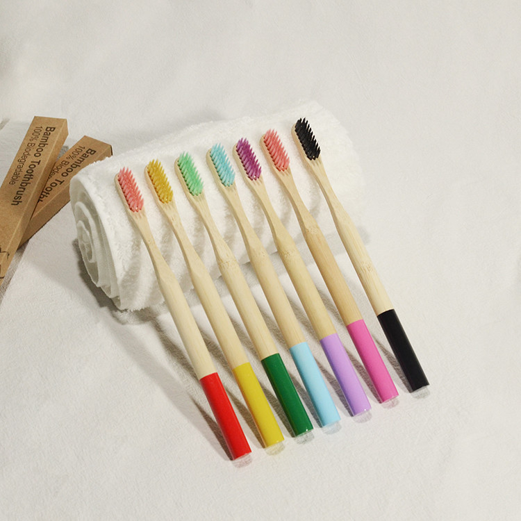 Color mezclado del cuidado de los adultos del vegano del cepillo de dientes de bambú oral del carbón de leña